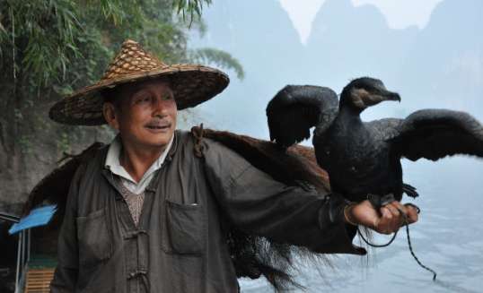 Man met vogel in Azië